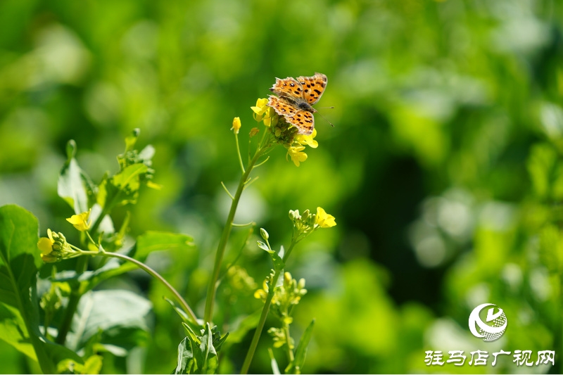 我們堅(jiān)守，為了早日重逢