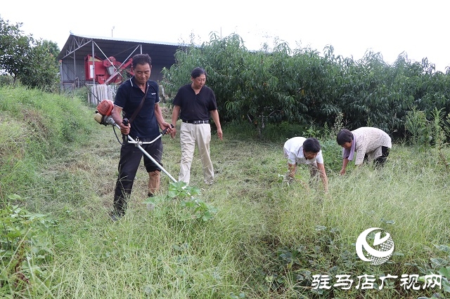 泌陽縣易齊發(fā)種植專業(yè)合作社帶領鄉(xiāng)親“一起發(fā)”