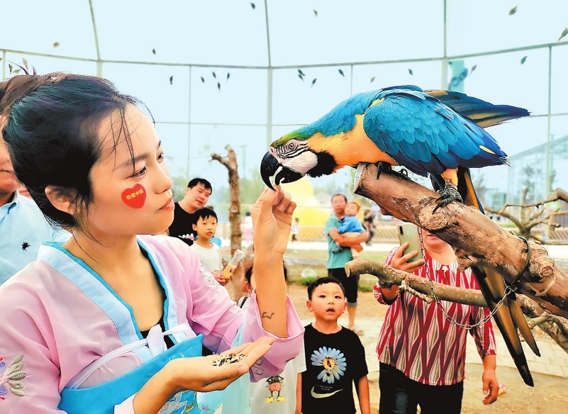 打卡河南 流連忘返