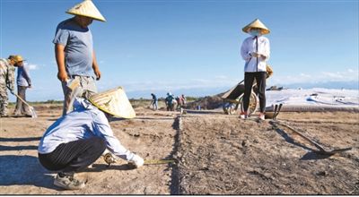 遺址格局逐步清晰，歷史文化內(nèi)涵日益豐富  北庭故城考古發(fā)現(xiàn)不斷深入