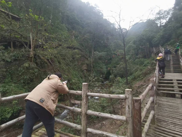 峨眉山猴子被拘留？假的！峨眉山猴子是國家二級保護(hù)動物