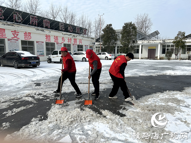 新蔡縣頓崗鄉(xiāng)團(tuán)委開展學(xué)雷鋒做好事掃雪除冰志愿服務(wù)活動(dòng)