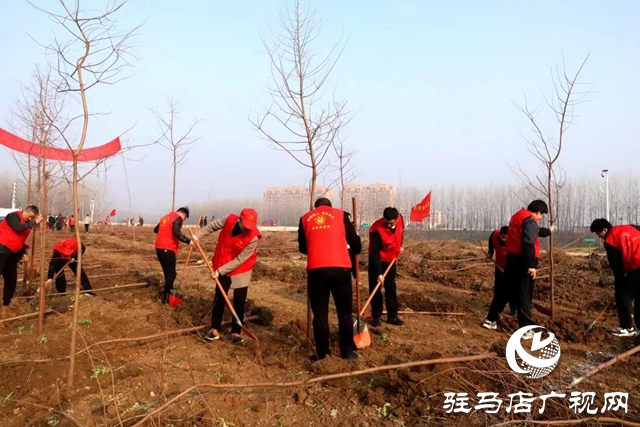 新蔡縣人民檢察院開(kāi)展義務(wù)植樹(shù)活動(dòng)