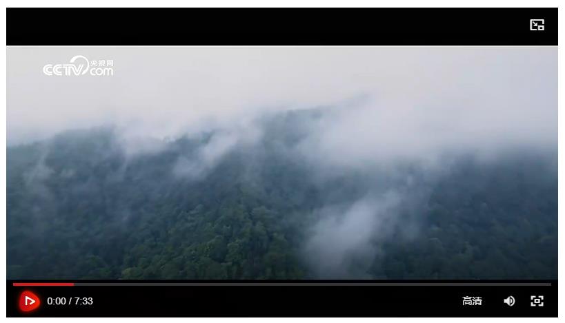 綠水青山間｜守護無價的山水畫卷