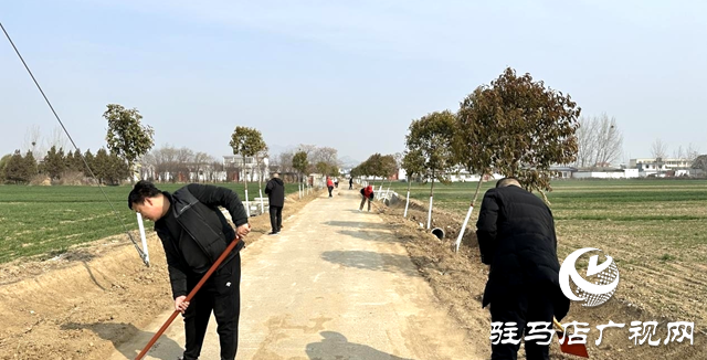 泌陽縣下碑寺鄉(xiāng)：志愿“紅”繪就溝渠新貌 連通鄉(xiāng)村“水脈絡”