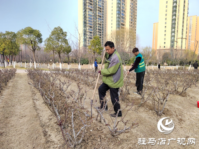 駐馬店開源公園：不負(fù)春季好時(shí)光 綠化養(yǎng)護(hù)正當(dāng)時(shí)