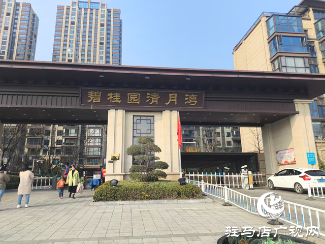 碧桂園清月灣：黨建賦能物業(yè)服務升級 紅色物業(yè)架起黨群連心橋