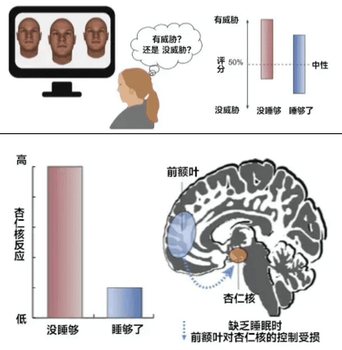 你以為的正?，F(xiàn)象，其實(shí)是睡眠不足！這份“熬夜急救包”請(qǐng)收好