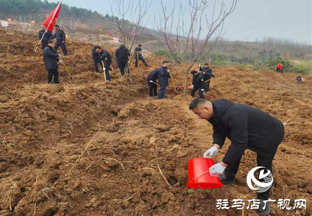 確山：春光明媚日 植樹正當(dāng)時