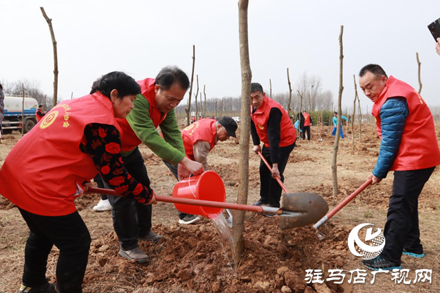 驛城區(qū)身邊好人協(xié)會(huì)組織開展義務(wù)植樹活動(dòng)