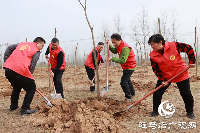 驛城區(qū)身邊好人協(xié)會(huì)組織開展義務(wù)植樹活動(dòng)