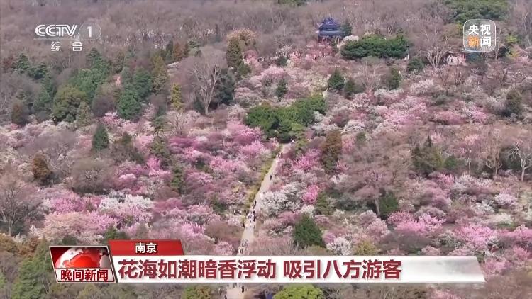 春天就是要看花花花花花，熱門春游目的地藏在這里