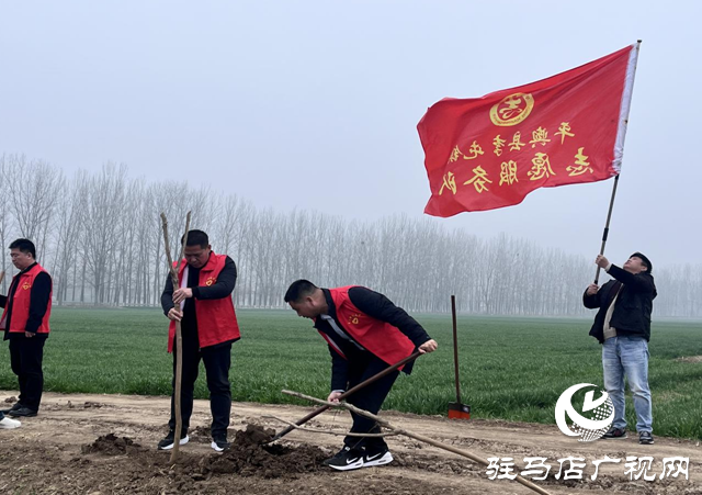 平輿縣李屯鎮(zhèn)組織開展全民義務(wù)植樹志愿服務(wù)活動(dòng)