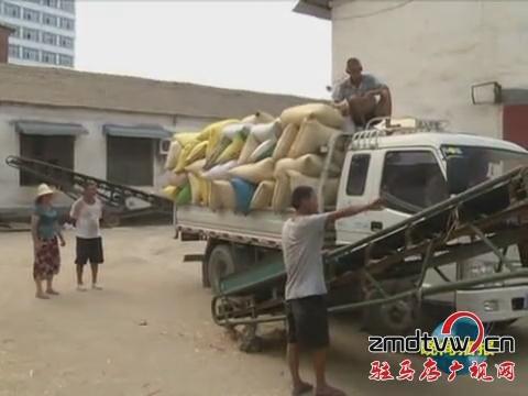 汝南：農民喜售豐收糧