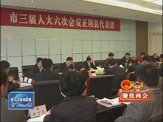 余學(xué)友參加正陽縣代表團(tuán)審議政府工作報告（視頻）