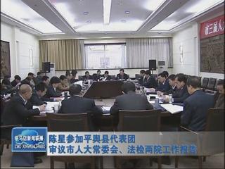 陳星參加平輿代表團(tuán)審議市人大常委會、法檢兩院工作報(bào)告（視頻）